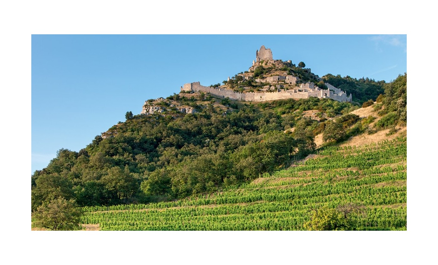 Rhône nord : 3 grands vins blancs à découvrir si vous aimez la Bourgogne
